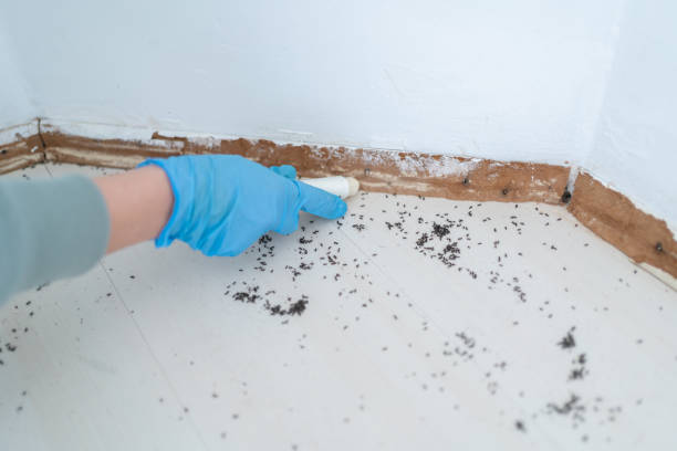 Best Real Estate Pest Inspections  in Atoka, TN